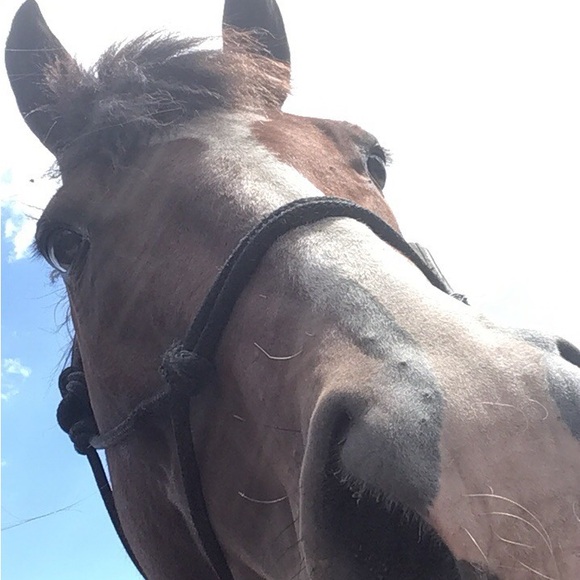 Meet your Posher, Eva - Picture 6 of 13